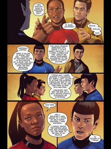  तारा, स्टार Trek ongoing #22