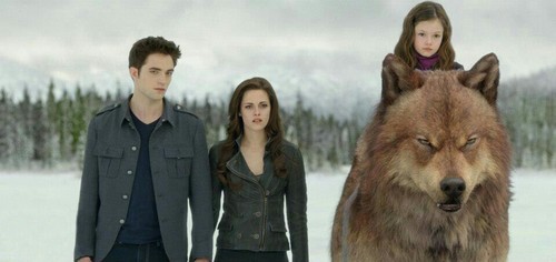  The Cullens and Jake