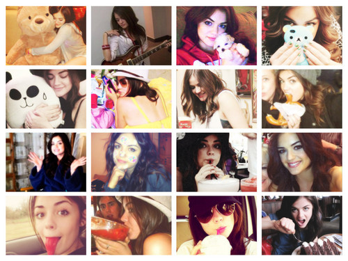  lucy Icons
