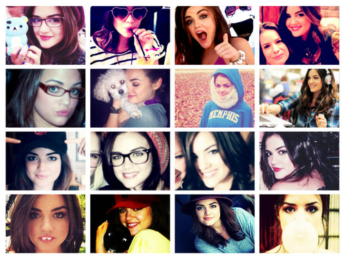 lucy icons