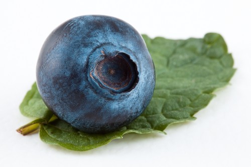 việt quất, blueberry