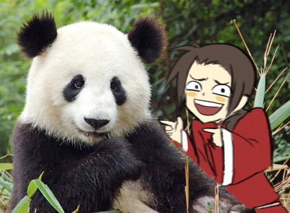  China meets giant panda!^^