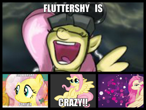 Fluttershy