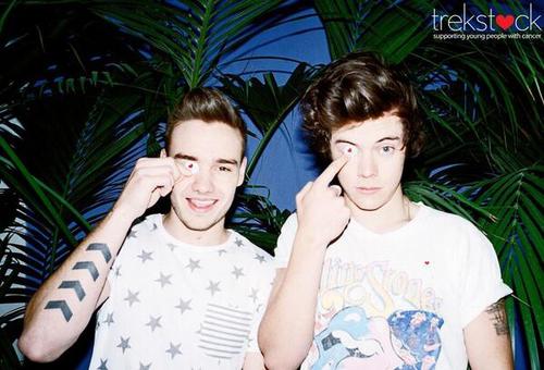  Liam and Harry - Trekstock