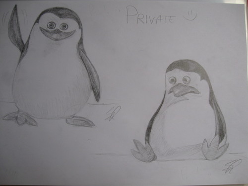  Private Drawings