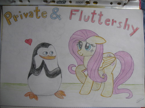  Private & Fluttershy
