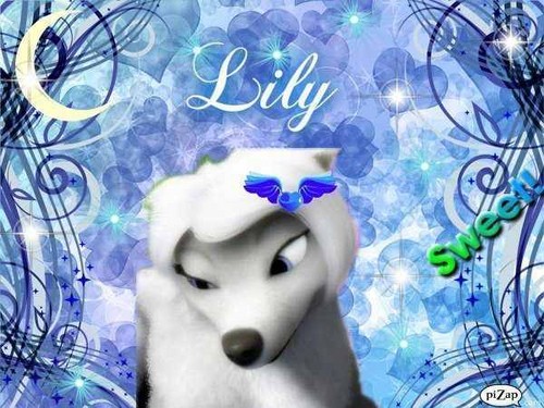  lily!!!!!!