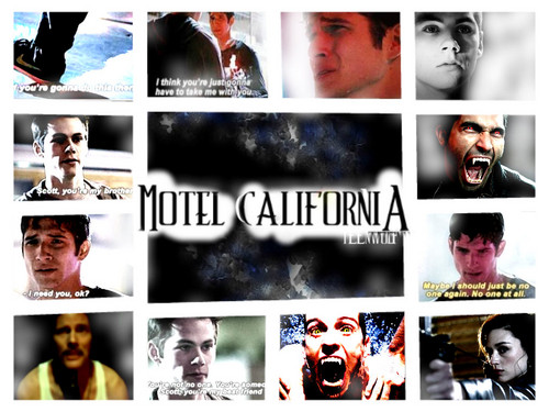  motel california teen بھیڑیا