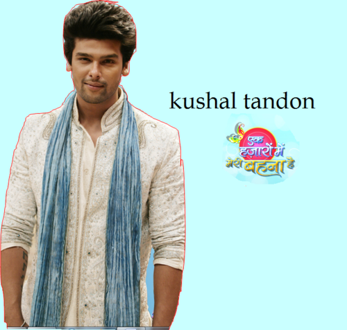  true fan of kushal