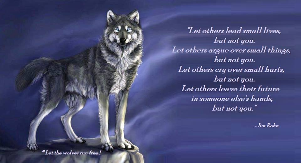 wolf poems wolves 34908704 960 520