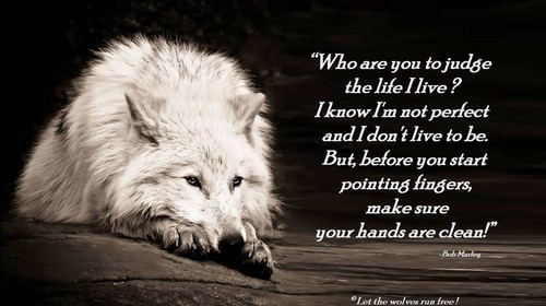 wolf poems