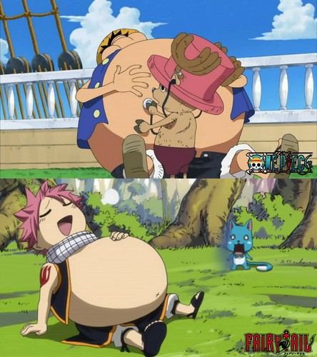  Fairy tail and one piece