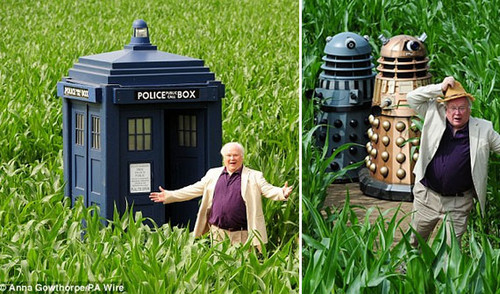 Giant TARDIS, Daleks and Maze Designs :)