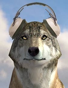  wolf wearing headphones image