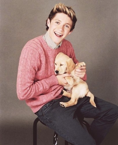  niall and doggy