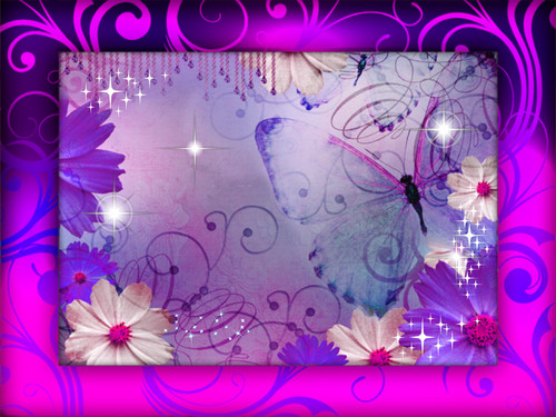  purple 蝴蝶