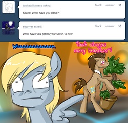  Dr.Whooves