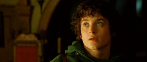  Frodo - Fellowship of the Ring