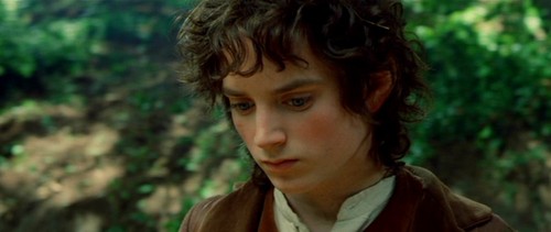 Frodo - Fellowship of the Ring