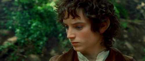  Frodo - Fellowship of the Ring