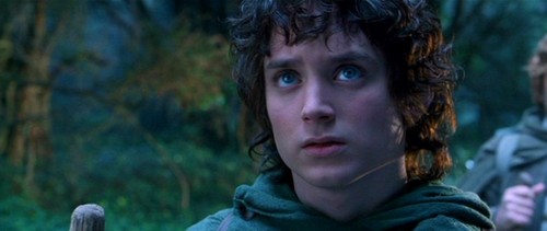 Frodo - Fellowship of the Ring