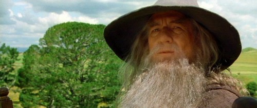  Gandalf the Grey - Fellowship of the Ring