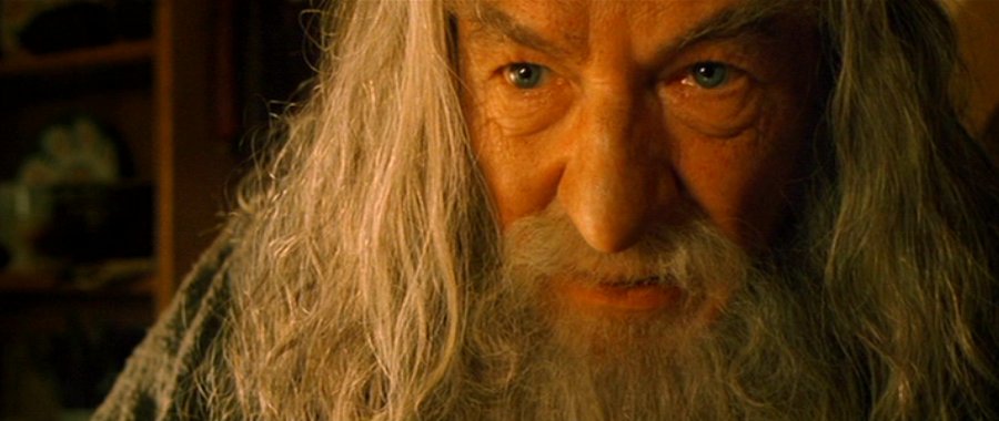 Gandalf the Grey - Fellowship of the Ring