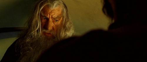  Gandalf the Grey - Fellowship of the Ring
