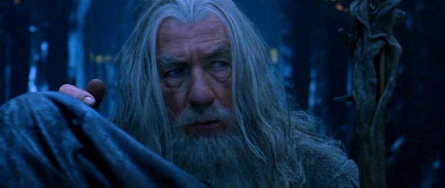 Gandalf the Grey - Fellowship of the Ring