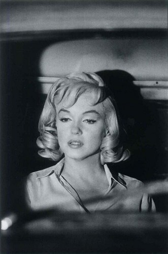  Marilyn fan Art