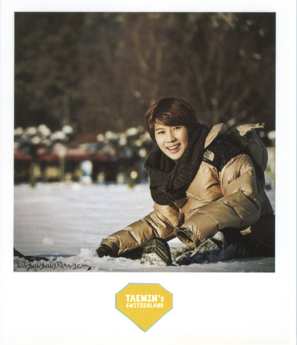  Taemin SHINee's Special Vacation Polaroid Sets