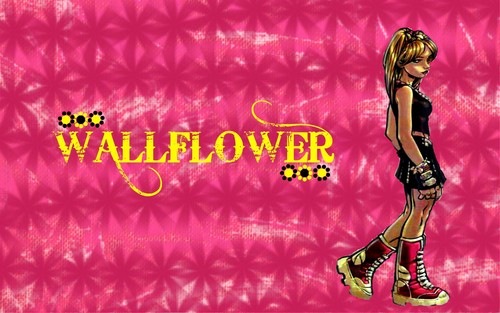  Wallflower / Laurie Collins rosa, -de-rosa wallpaper