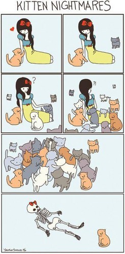  cats&cats&cats