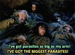  parasites 6