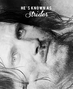  Aragorn fã Art
