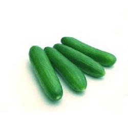  Cucumber ♡