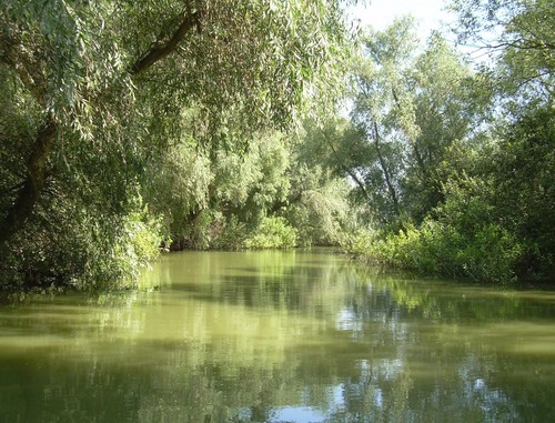  Danube Delta Romania scenery