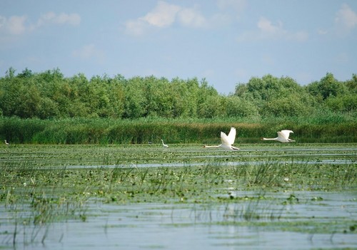  Danube Delta Romania landscape