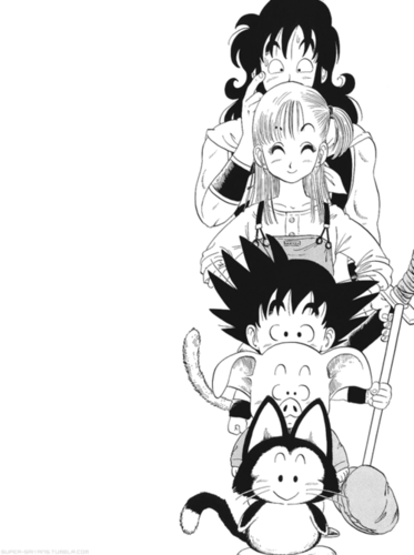  Dragon Ball Manga B/W
