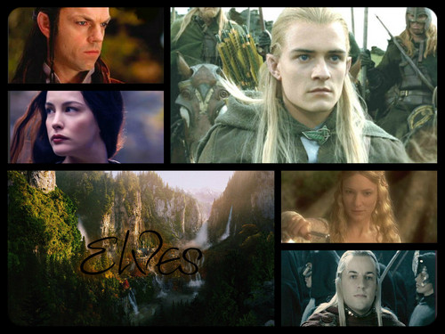 Elves of Middle-earth