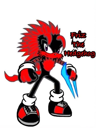  Friz The Hedgehog(contest of Friz)