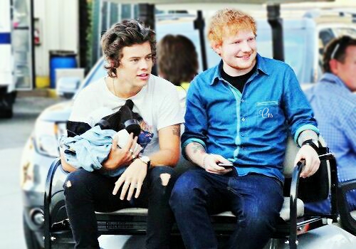  Harry & Ed