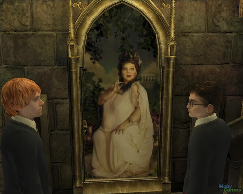  Harry Potter and the Order of the Phoenix (video game)