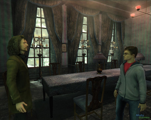  Harry Potter and the Order of the Phoenix (video game)