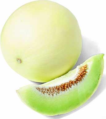 Honeydew Melon ♡