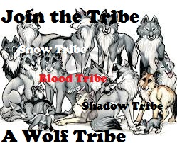  शामिल होइए the Tribe, A भेड़िया Tribe