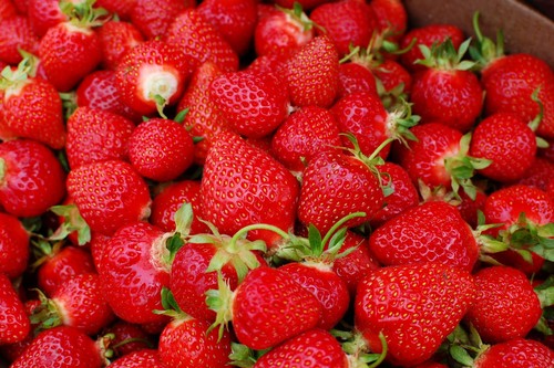 Juicy Red Strawberries ♡