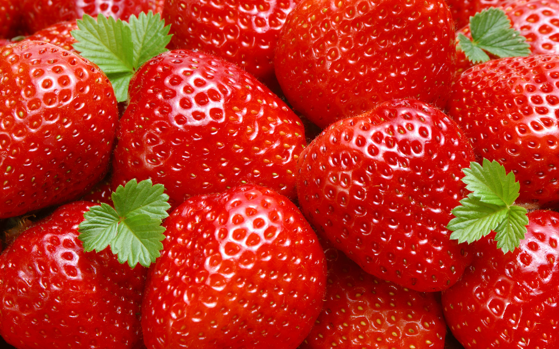 Juicy Red Strawberries ♡