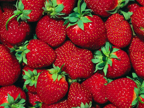 Juicy Red Strawberries ♡