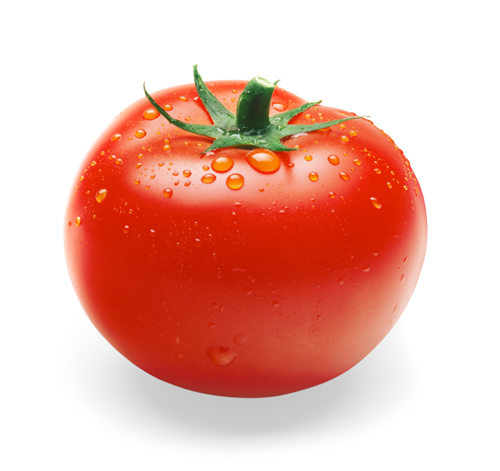  Juicy Tomatoes ♡